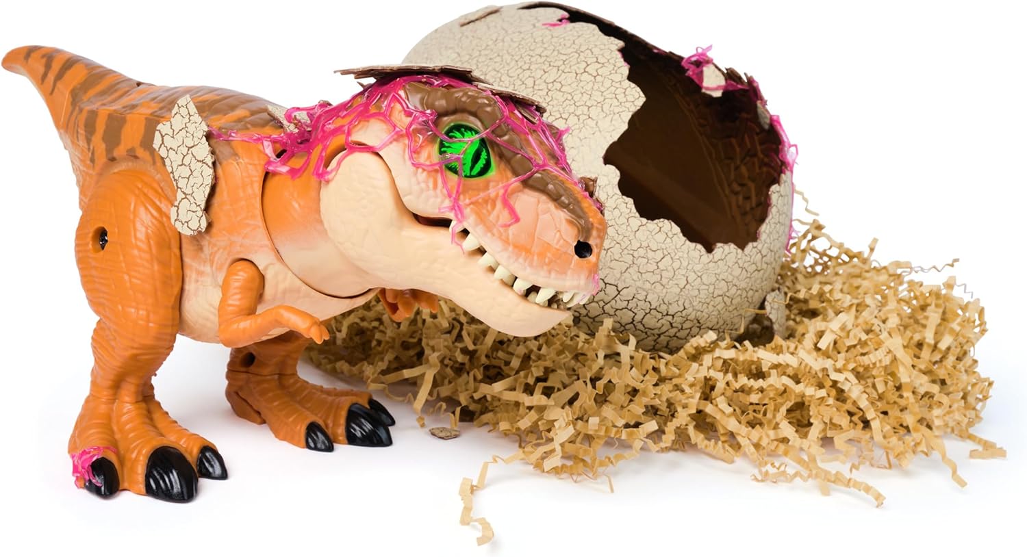 Dinosaur Egg Hatch & Train